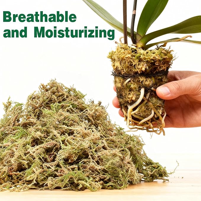 ZeeDix 6L Premium Sphagnum Moss for Plants Indoor, New Zealand Sphagnum Moss for Orchid Potting Mix Terrarium Succulent Carnivorous Ferns Hosta Garden & Reptile Habitat