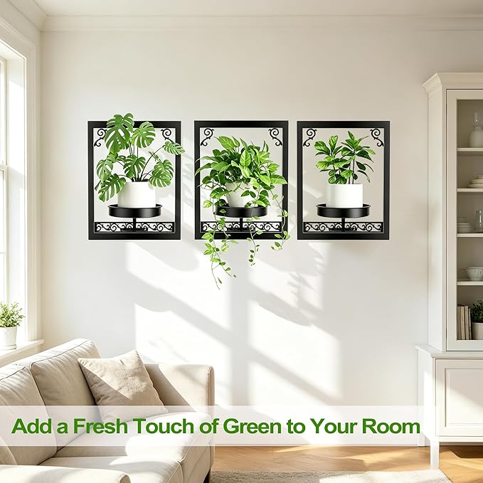 WGFKVAS Wall Plant Holder Set of 3, Picture Frame Plant Holder, Rustproof Holder Metal Modern Style Home Gardening Wall Decor for Living Room Bedroom, Entryway, Black