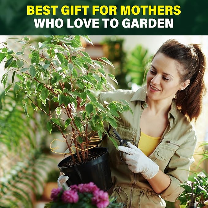 6Pcs Gold Iron Monstera Plant Support Stakes - Indoor Plant Holders for Stem Support and Thriving Growth