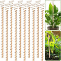 10pcs Electroculture Plant Stakes, 13.5'' Copper Coil Wire Antennas Garden Stakes, Tensor Rings Kit, Copper Rods Electronic Planting for Growing Vegetable Garden Plants Support Outdoor Indoor