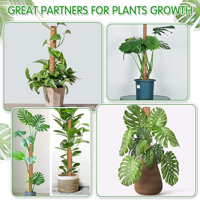 ROADPLUM 4 Pack 21.7" Coco Coir Poles, Stackable Plant Stakes Moss Pole for Plant Monstera with Twist Ties Plant Ties Labels Jute Rope, Plant Sticks Support for Climbing Plants Growth Indoor
