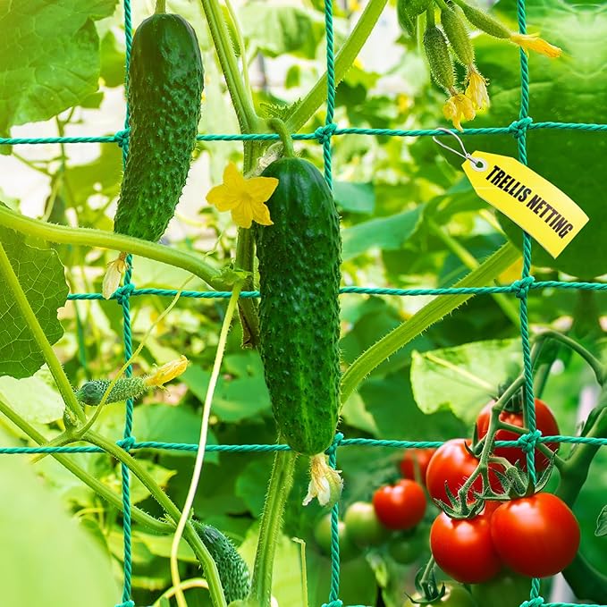 Trellis Netting, Heavy Duty Garden Netting for Trellis for Climbing Plants Outdoor, 9.85x6.6Ft Plant Netting for Cucumber, Tomato, 27 Strands & 4x4 in Mesh, Grow Net for Vine,Fruits, Vegetables, Bean
