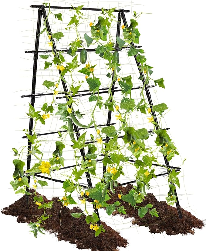 HPC Decor Cucumber Trellis for Raised Bed, 6 FT Tall Garden Trellis for Climbing Plant Outdoor, Metal A Frame Trellis with Climbing Net, Support for Vegetable, Grape, Tomato, Peas, Fruit, Vine.