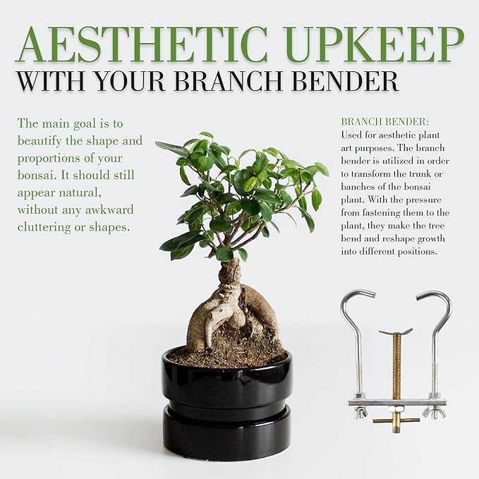 BambooMN 4" Branch Bender Tool - 10 Units