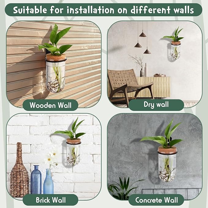 Baderke 6 Set Wall Plant Holder with Plastic Propagation Vases Hanging Planter Wall Mounted Set for Plants Growing in Water Hydroponic Artificial Plants Indoor Decor (2.48" X 4.72",Test Tube)