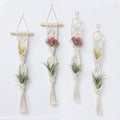 4 Pack Air Plants Holders, Wall Planters for Indoor Plants | Macrame Plant Hanger, Air Plant Hanger for Air Fern, Tillandsias, Live Houseplants & Succulent (NO Plant Included)