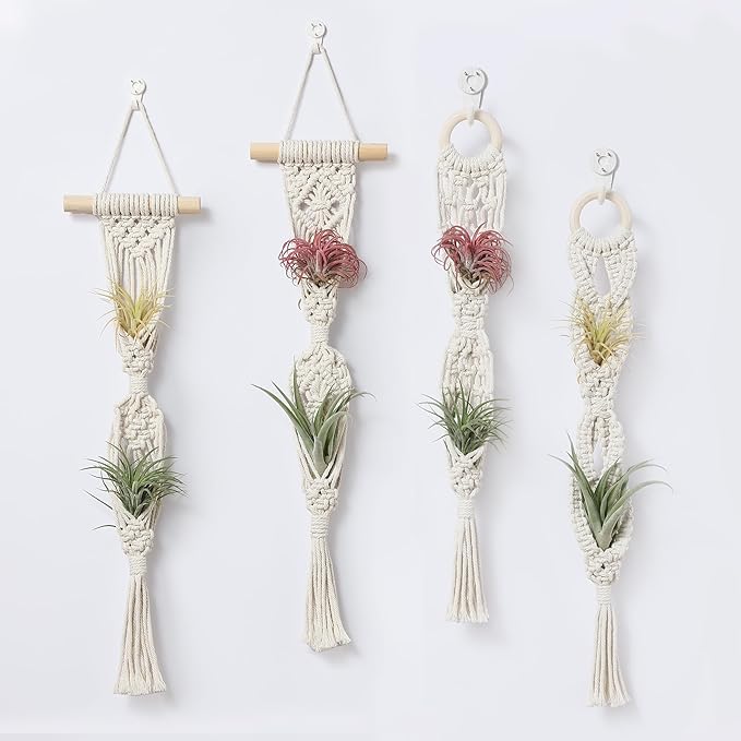 4 Pack Air Plants Holders, Wall Planters for Indoor Plants | Macrame Plant Hanger, Air Plant Hanger for Air Fern, Tillandsias, Live Houseplants & Succulent (NO Plant Included)