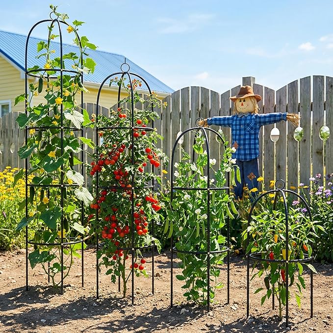Metal Trellis for Climbing Plants Outdoor, 2026 Upgrade 100% Metal with Powder Coating, Rose, Flowers, Grape, Pea, Cucumber Tomato Cage - 6.3 FT Freestanding Plant Support