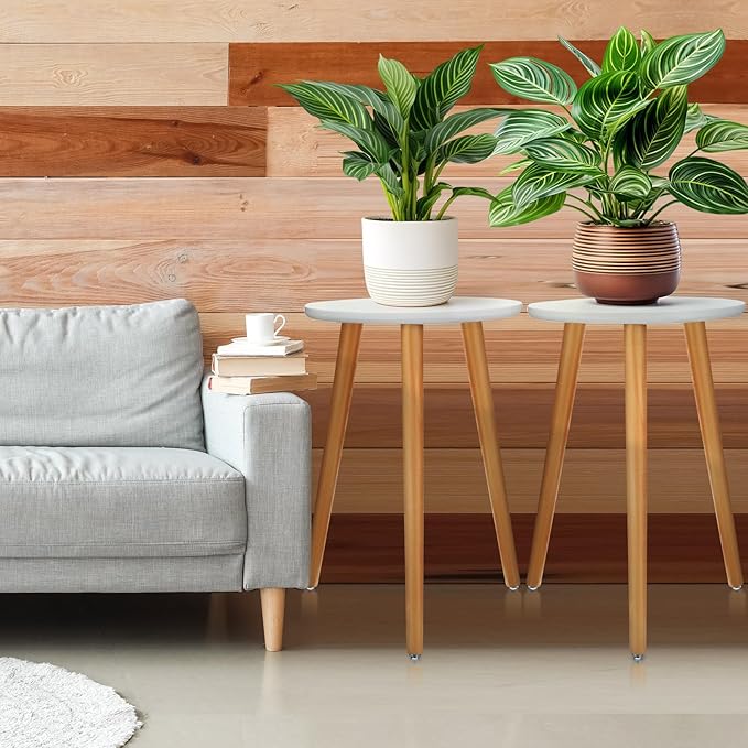 Briwooody 2 Pcs Wood Plant Stands Indoor Wooden Stool for Plants Mid Century Vintage Modern Flower Pots Holder Round Side Table End Table Plant Stools for Living Room Corner Balcony Decor(White)