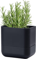 Phoenix Vine 6.5 Inch Wall Mounted Self-Watering Planter Pot for Indoor Houseplants and Herbs | Hanging Planter for Window Sills, Bathroom Walls, Home & Office Décor, Black, Set of 1, 01-C-E-1