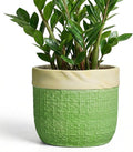 Ceramic Pots for Plants - 9.8 Inch Planter for Indoor Outdoor Plants, Ceramic Planter with Drainage Hole and Plug, Boho Decorative Flower Pot, Home Patio Decor, Plant Lover Gifts, Green