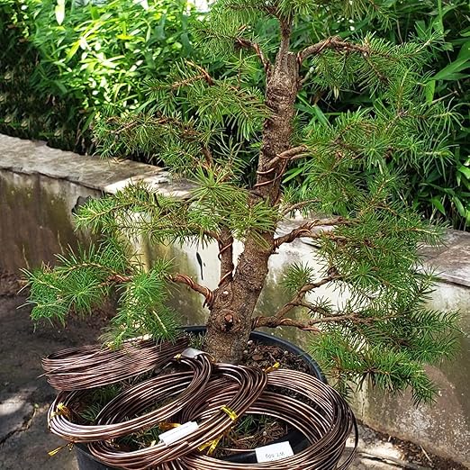 98 Feet Brown Anodized Aluminum Bonsai Training Wire, 4.0mm Anodized Aluminum Wire, 98 Feet Bonsai Plant Wire, Professional Grade Bonsai Training Wire for Crafts, Sculpting, Home Decoration