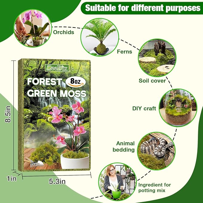 ZeeDix 8 oz Forest Moss for Plants Indoor - Dried Orchid Moss for Repotting, Natural Green Sphagnum Moss for Potted Plants Carnivorous Monstera Succulents Crafts Reptile Habitat (Expands to 12 qt)