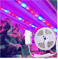 Full Spectrum LED Grow Light Tape, 11.8 ft Flexible Strip Kit for Indoor Plants and Gardening, 24W Plug-in Design, Water Resistant