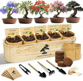 LUOJIBIE Bonsai Tree Kit for Beginners - Unique Gifts for Women, Crafts for Adults, for Women & Men,Complete Indoor Plant Kit,Easy House Plant