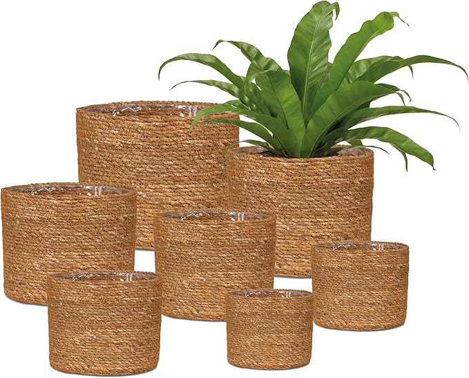 Scheurich Seagrass 24 Basket Planter/Basket Planter/Basket Pot Made of Seagrass Colour: Groove, 24 cm Diameter, 22.5 cm High, 10.6 litres Vol.