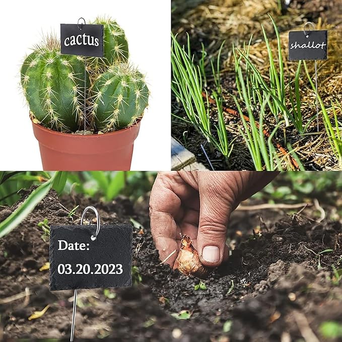 20Pcs Silver Stainless Steel Plant Label Hooks, Hanger Gardens Stake, Garden Markers Stake Plant Label Holder,Rustproof Deformed Garden Plant Sign Hooks Hanging Rods, Outdoor Hanging Brackets(20cm)