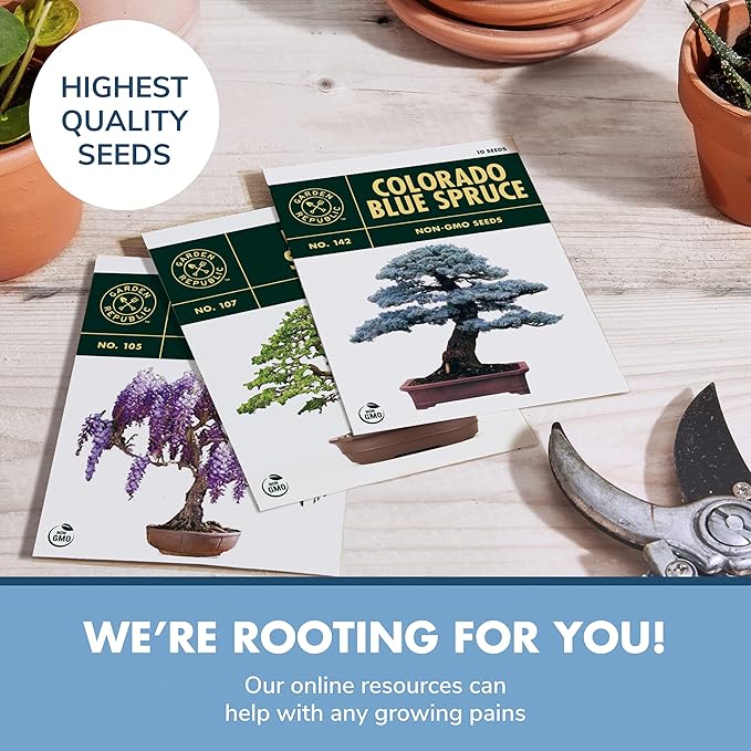 Garden Republic Bonsai Tree Kit - Mini Bonsai Seeds, 3 Types - for Indoor Plant Growing - Starter Kit with Seeds, Soil, Planters & Shears