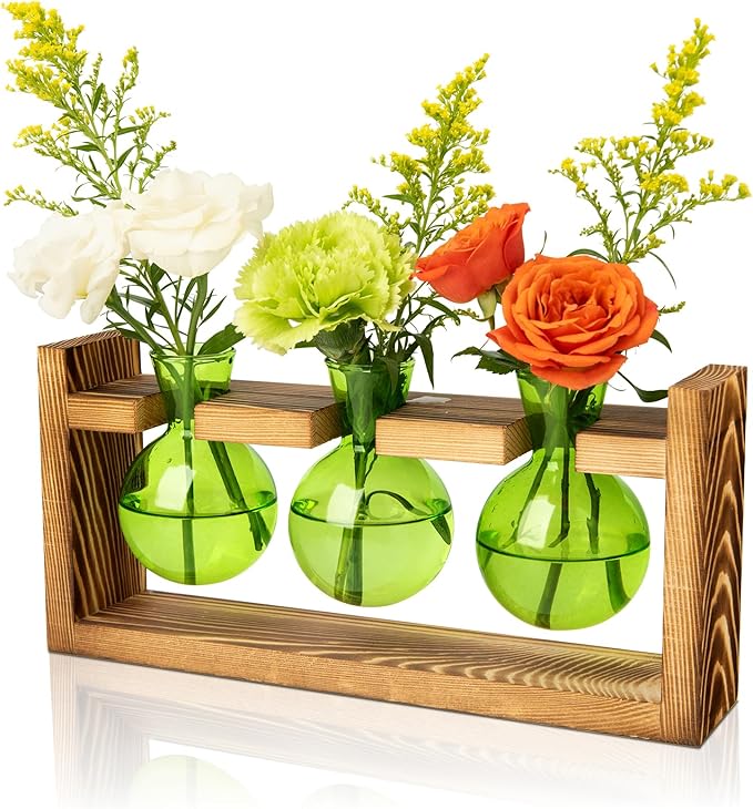 XXXFLOWER Glass Plant Mister Spray+3 Bulb Glass Propagation Station