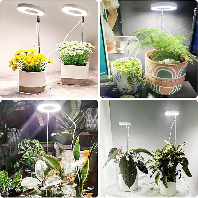3.54" White Grow Light, Full Spectrum Plant Lights for Indoor Growing with 3/9/12H Timer, 3 Color Modes, 10 Brightness, 6.6"-24.8" Height Adjustable, Small Halo Grow Light with Base, 2 Pack