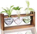 Kingbuy 3-Heart Plant Terrarium Kit - Stained Glass Vase Propagation Station with Vintage Wood Stand - Wall-Mounted & Tabletop Indoor Garden Decor for Home Kitchen Wedding (Grey, Green, Pink)