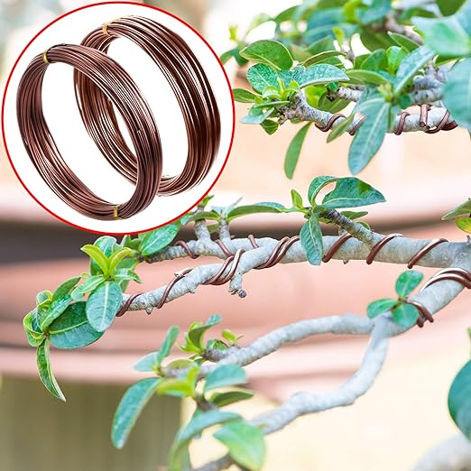 Mudder 5 Roll Aluminum Bonsai Training Wire Tree 160 Feet Total with Bonsai Wire Cutter Anodized Training for Holding Branches Small Trunks(1/1.5/2.0mm,Brown)