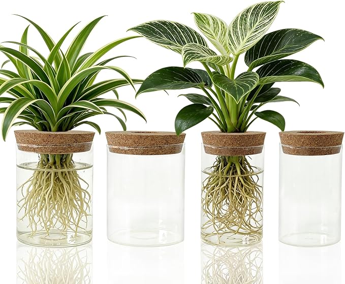 Glass Propagation Station for Plants Set of 4,Desktop Vases for Herb,Plant Cuttings,Planter Jars for Home,Propagation Flower Vases for Living Room,Bedroom,Home Office Decoration,Plant Lover Present