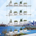 4-Tier Floating Acrylic Plant Shelf – Each Tier 16 Inch Long, Height Adjustable for Indoor Garden, Ideal for Herbs & Flowers in Sunlit Spaces