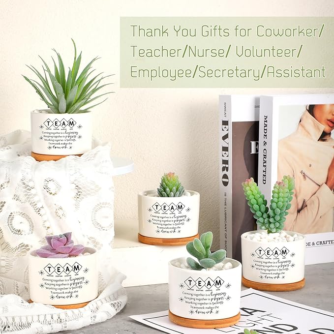 12 Pcs Employee Appreciation Inspirational Succulent Pots Gifts Bulk for Women Coworker Teacher Small Ceramic Plant Pots with Bamboo Trays for Office Staff Group Graduation(Team)