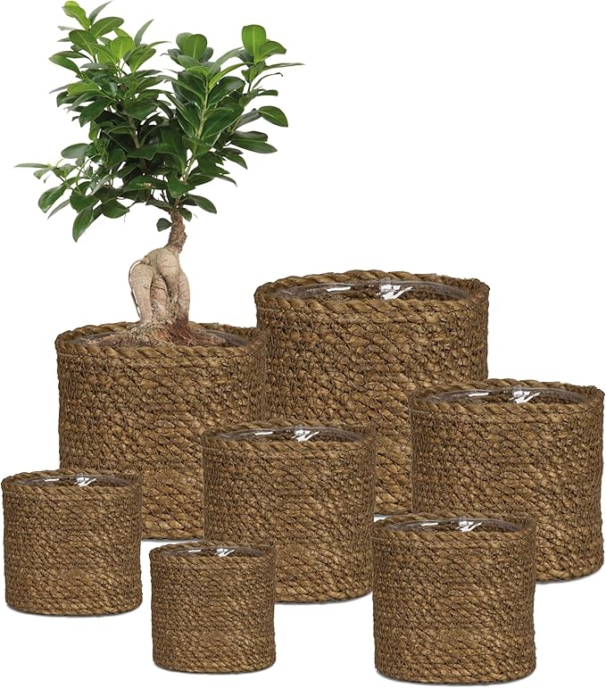 Scheurich Wicker Seagrass Basket Planter, Brown, 26cm