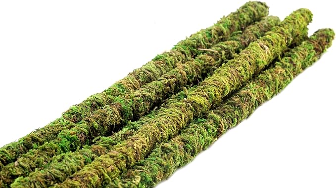 SuperMoss (22051) Moss Stakes Preserved, Fresh Green, 24" (6 pack)