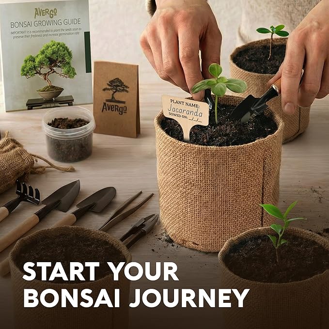 AVERGO Bonsai Tree Kit Classic - 5X Unique Japanese Bonzai Trees | Complete Indoor Bonsai Starter Kits for Growing Trees – DIY Gardening Gifts for Mother's Day, Women & Men