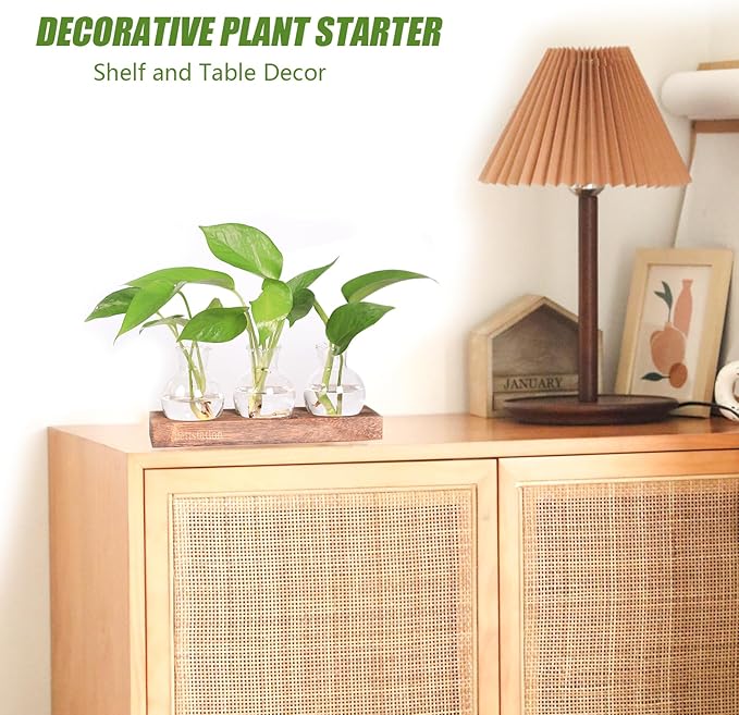 Plant Propagation Station, Plants Terrarium with Wooden Stand Bulb Glass Vase Planter Gift for Plant Lovers Home Office Decor
