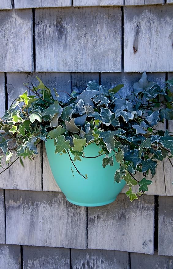 The HC Companies 8 Inch Garden Wall Planter - Plastic Hanging Plant Pot for Indoor Outdoor Flowers, Herbs, Teal