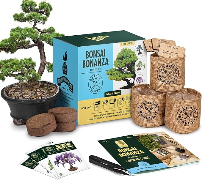 Garden Republic Bonsai Tree Kit - Mini Bonsai Seeds, 3 Types - for Indoor Plant Growing - Starter Kit with Seeds, Soil, Planters & Shears