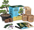 Garden Republic Bonsai Tree Kit - Mini Bonsai Seeds, 3 Types - for Indoor Plant Growing - Starter Kit with Seeds, Soil, Planters & Shears