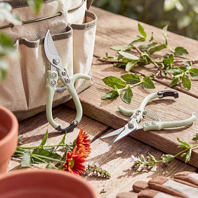 Plant Scissors with Lock 2 Pack, 6'' Bypass Hand Pruner & 6.7" Precision Garden Scissors Rust Resistant Hand Sprout Pruning Shears Gardening Tools for Herbs, Plants