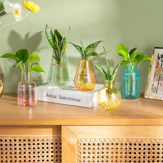 Mkono Propagation Vases for Plants, Set of 5 Small Glass Jar Planters for Hydroponic Cutting Flowers, Plant Station Bud Vases for Centerpieces Home Office Decor Gift, Colorful (Plants not Included)