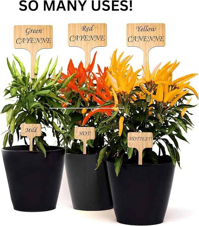 30 Pack 2 Sizes Plant Labels Large Garden Markers Plant Name Tags Easy to See and Read