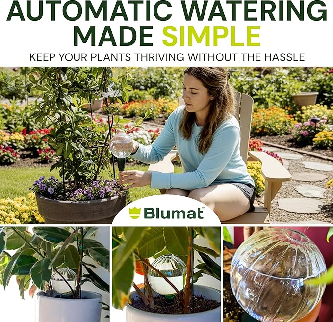 Blumat Clear Globes Single Pack - Automatic Watering Stake with a Beautiful Look
