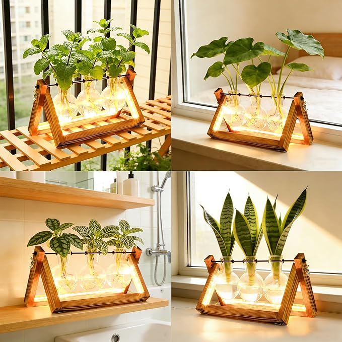 Plant Propagation Stations with LED Lights, Plants Terrarium with Retro Wooden Stand Glass Vase Hydroponics Planter Birthday Gift for Plant Lovers Home Garden Office Indoor Decoration-3 Bulb Vase