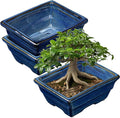 Villa Como Bonsai Pots Shallow Succulent Planters for Live Bonsai Trees Set of 2, 6.3" Ceramic Pot for Succulents Indoor with Drainage Hole, Outdoor Cactus Plant Bonsai Pot, Ceramic Flower Pot