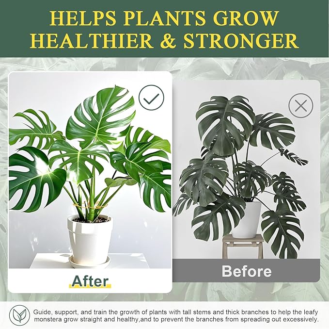 4 Pack Plant Stem Support, Adjustable Metal Monstera Plant Support Small 2PCS & Large 2PCS, Plant Supports for Indoor Plants Moss Pole Growth Plant Support Ring (Gold)