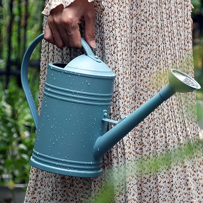 Watering Can for Indoor Plants, Garden Watering Cans for House Flower Long Spout, Watering Can for Indoor and Outdoor, Home and Garden Plants (Blue)