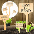 30 Pack 2 Sizes Plant Labels Large Garden Markers Plant Name Tags Easy to See and Read