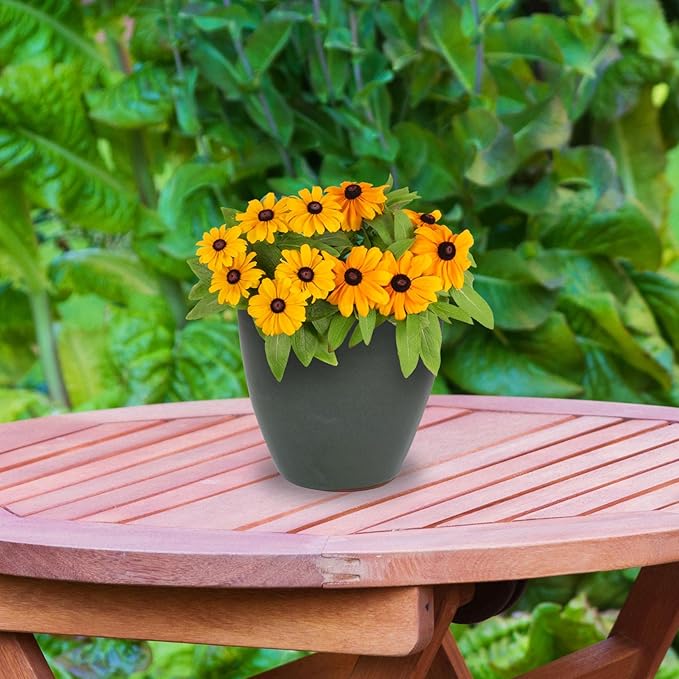 Sunnydaze Resort Round Ceramic Planter - Set of 2 Indoor or Outdoor Plant Pots with Drainage Hole - 8" - Gray Glaze