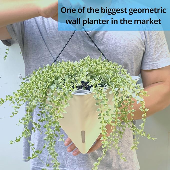 LaLaGreen Wall Planters for Indoor Plants - 4 Pack, 12 Inch Large Self Watering Black and White Mixed Color Geometric Indoor Vertical Garden Wall Hanging Flower Vase Vessel with Metal Hanger Stylish