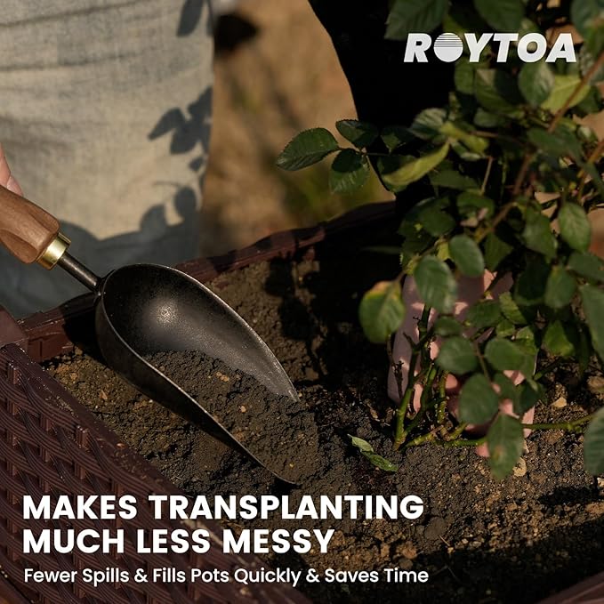 ROYTOA Soil Scoop Garden Trowel, Garden Spade with Ergonomic Walnut Handle, Small Hand Shovel for Transplanting, Digging and Cultivating