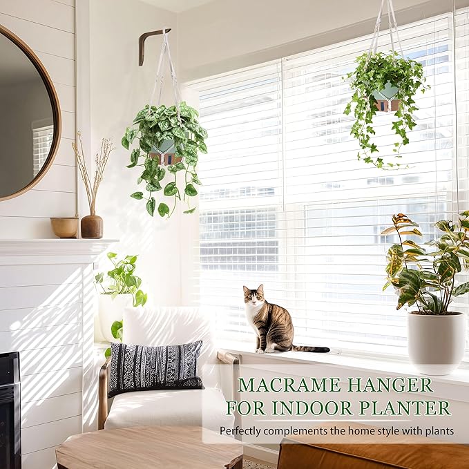 10 Inch Hanging Planters for Indoor Plants, 2 Pack Self Watering Hanging Baskets Flower Pots with Drainage Hole, Visual Reservoir & 2 Kinds of Plant Hanger for Home Decor(Green)