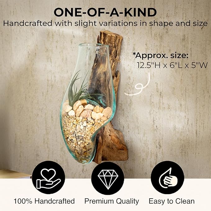 Cape Craftsmen Wall Mounted 12" Molten Glass Hanging Terrarium Kit on Natural Driftwood, Indoor Wall Planter Vase on Wood, Propagation Station for Hydroponics Plants, Succulent Pot